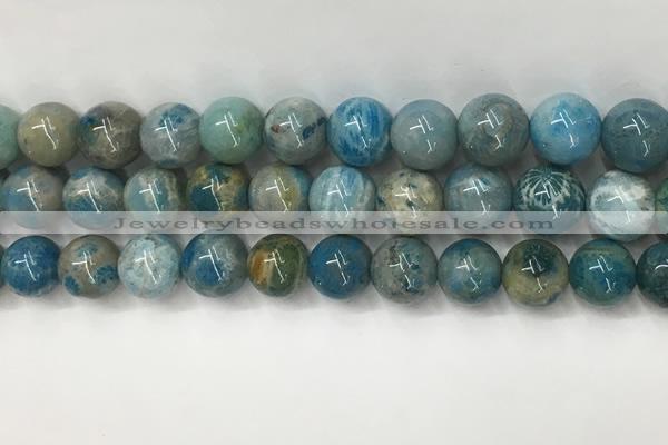CAA3980 15.5 inches 12mm round chrysanthemum agate beads