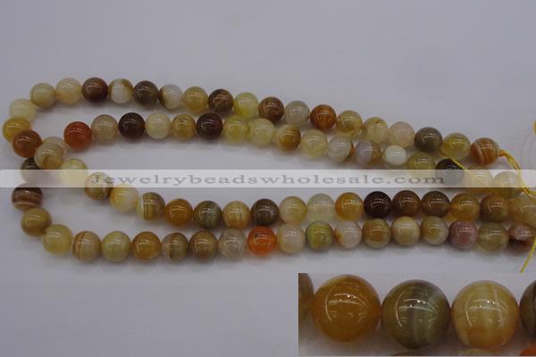 CAG4323 15.5 inches 10mm round botswana agate gemstone beads