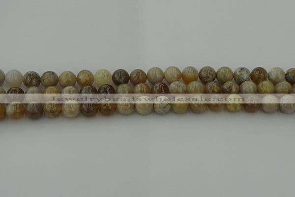 CAG9402 15.5 inches 8mm round ocean fossil agate beads wholesale