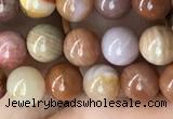 CAG9805 15.5 inches 6mm round wood agate beads wholesale