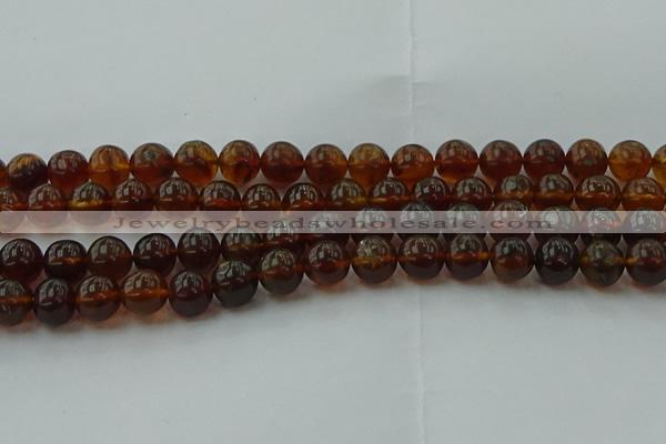 CAR529 15.5 inches 9mm - 10mm round natural amber beads wholesale