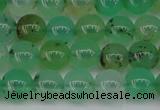 CAU351 15.5 inches 6mm round Australia chrysoprase beads