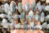 CBBS150 Centre drilled 8*20mm - 14*30mm hexahedral prism labradorite beads