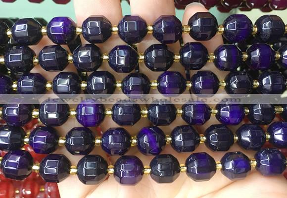 CCBS160 15 inches 10mm faceted prism agate beads wholesale
