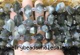 CBBS221 Top drilled 7*16mm - 11*25mm hexahedral prism labradorite beads wholesale