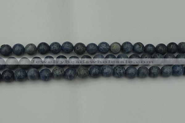 CCB453 15.5 inches 10mm round blue coral beads wholesale