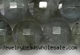 CCB684 15.5 inches 10mm faceted coin labradorite gemstone beads