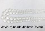 CCBS11 15 inches 6mm - 18mm faceted round white crystal beads wholesale