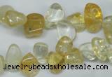 CCH312 15.5 inches 10*15mm citrine chips gemstone beads wholesale