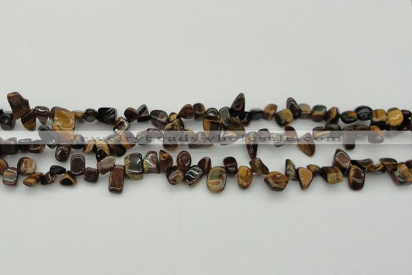 CCH638 15.5 inches 6*8mm - 10*14mm yellow tiger eye chips beads