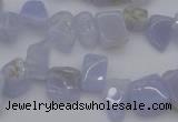 CCH639 15.5 inches 6*8mm - 10*14mm blue lace agate chips beads