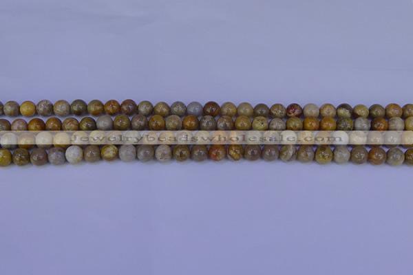 CFC200 15.5 inches 4mm round fossil coral beads wholesale