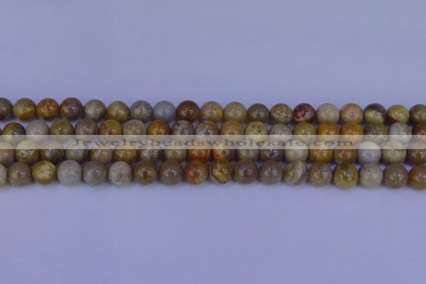 CFC202 15.5 inches 8mm round fossil coral beads wholesale