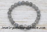 CGB7425 8mm labradorite bracelet with skull for men or women