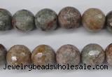 CGG15 15.5 inches 12mm faceted round ghost gemstone beads wholesale