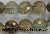 CGQ28 15.5 inches 16mm faceted round gold sand quartz beads