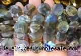 CIBS53 15 inches 15mm faceted coin labradorite beads wholesale