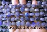CLB1022 15.5 inches 10mm faceted coin labradorite gemstone beads