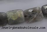 CLB95 15.5 inches 15*20mm faceted rectangle labradorite beads