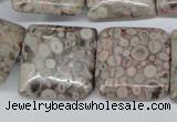 CMB23 15.5 inches 25*25mm square natural medical stone beads