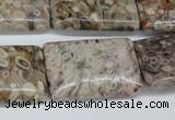 CMB28 15.5 inches 20*30mm rectangle natural medical stone beads