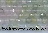 CMG470 15 inches 4mm faceted round morganite beads