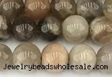 CMS2087 15 inches 8mm round moonstone gemstone beads