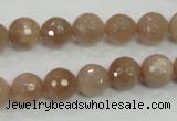 CMS60 15.5 inches 10mm faceted round moonstone gemstone beads