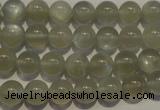 CMS652 15.5 inches 8mm round grey moonstone beads wholesale