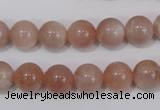 CMS754 15.5 inches 10mm round natural moonstone beads wholesale