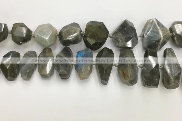 CNG3591 15*25mm - 25*35mm faceted nuggets labradorite beads