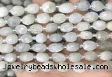 CNG8530 15.5 inches 8*9mm - 9*11mm faceted nuggets moonstone beads
