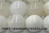 COP1733 15.5 inches 12mm round white opal beads wholesale