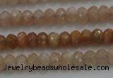 CRB224 15.5 inches 2.5*4mm faceted rondelle moonstone beads