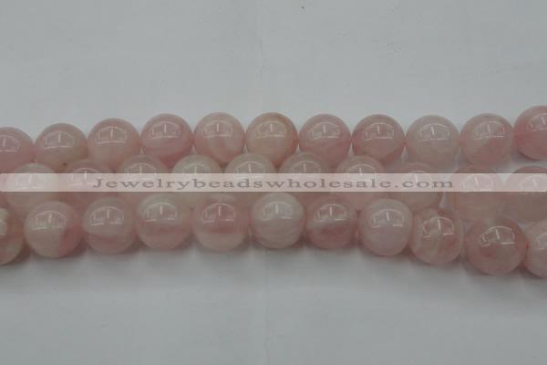 CRQ675 15.5 inches 16mm round rose quartz beads wholesale