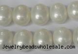 CSB136 15.5 inches 12*15mm – 13*16mm oval shell pearl beads