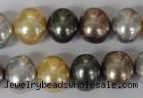CSB158 15.5 inches 12*15mm – 13*16mm oval mixed color shell pearl beads