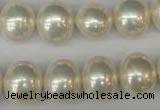 CSB800 15.5 inches 13*15mm oval shell pearl beads wholesale