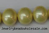 CSB832 15.5 inches 16*19mm oval shell pearl beads wholesale