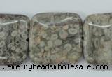 CSF07 15.5 inches 25*25mm square shell fossil jasper beads
