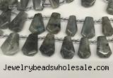 CTD2275 Top drilled 16*28mm - 20*30mm faceted freeform labradorite beads
