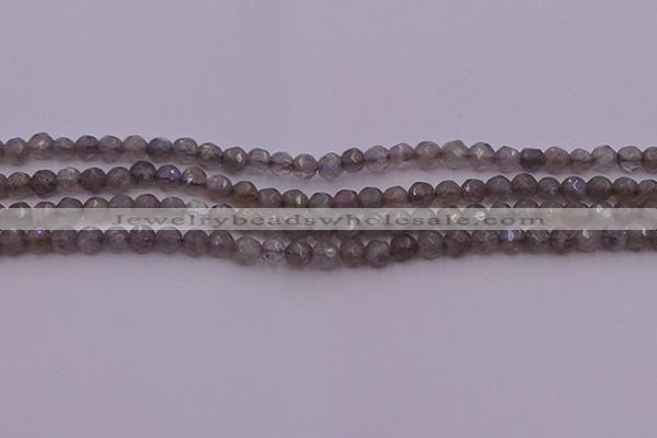 CTG509 15.5 inches 4mm faceted round tiny labradorite beads