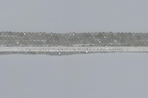 CTG613 15.5 inches 3mm faceted round labradorite beads