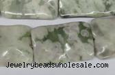 CTW321 15.5 inches 20*30mm wavy rectangle peace stone beads