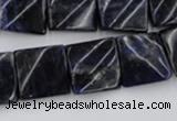 CTW355 15.5 inches 16*16mm twisted square sodalite gemstone beads
