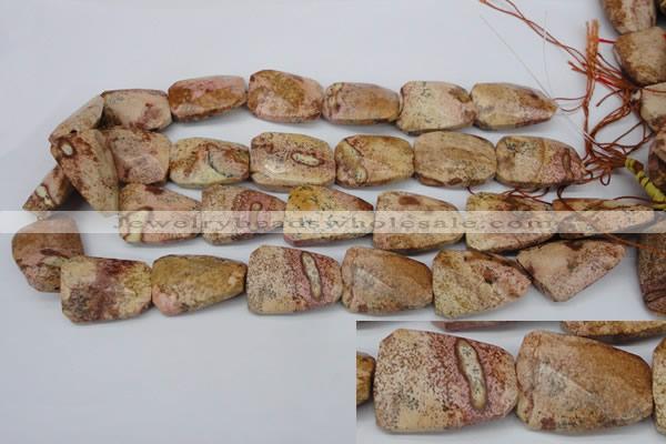 CTW420 15.5 inches 20*30mm faceted & twisted picture jasper beads