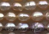 FWP160 14.5 inches 4.2mm rice purple freshwater pearl strands