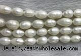 FWP205 15 inches 10mm - 11mm rice white freshwater pearl strands