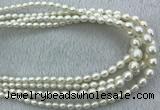 FWP212 15 inches 4mm - 9mm rice white freshwater pearl strands