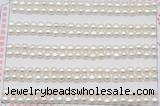 FWP452 half-drilled 4-4.5mm bread freshwater pearl beads